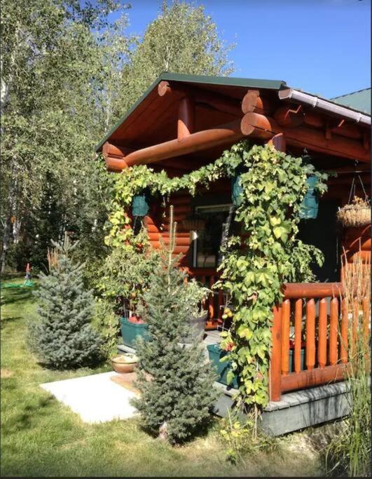Lazy Fox Cabin West Yellowstone Exterior photo